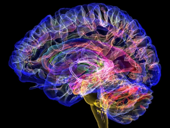 日骚逼的AV大脑植入物有助于严重头部损伤恢复